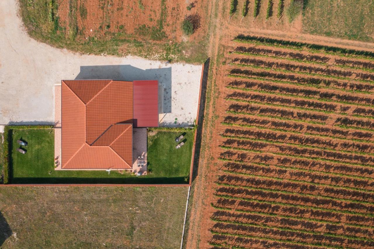 Villa Gracia Sveti Lovreč Pazenatički 외부 사진
