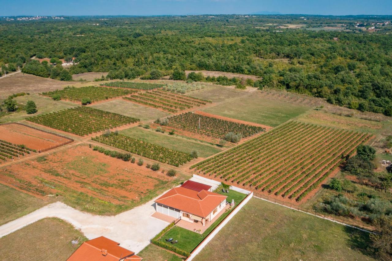 Villa Gracia Sveti Lovreč Pazenatički 외부 사진
